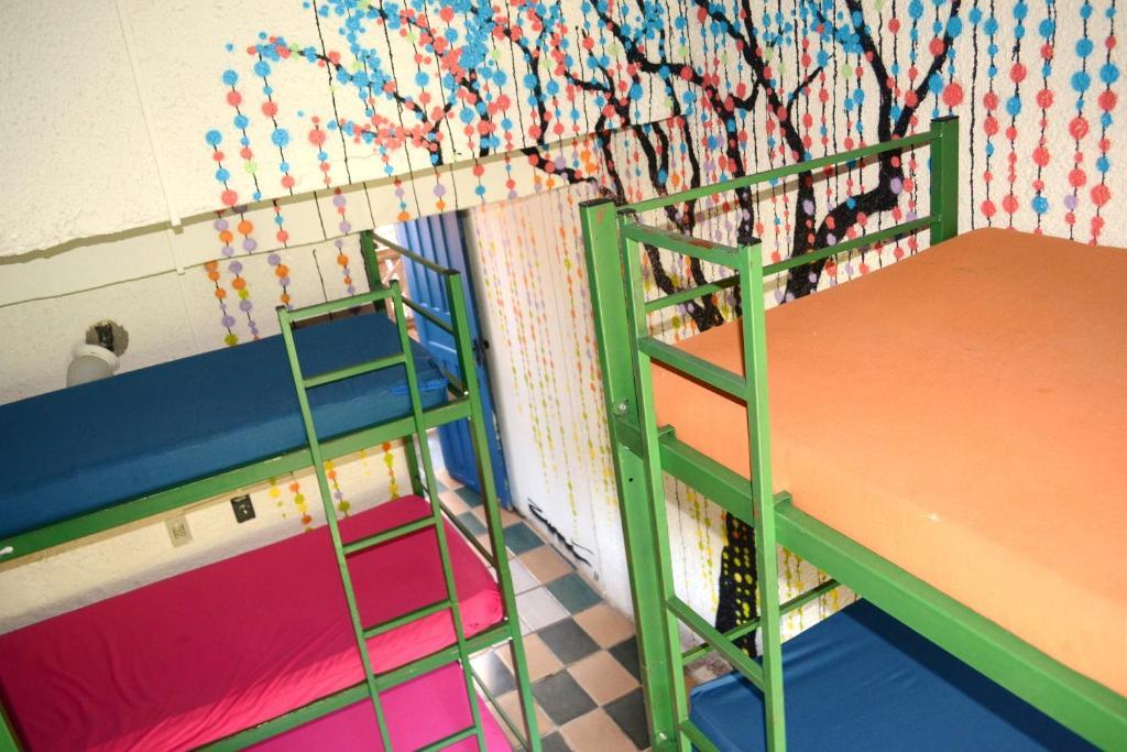 El Misti Hostel Ilha Grande Ilha Grande  Номер фото
